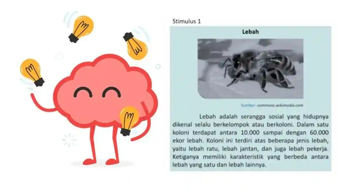 Soal Model AKM Bahasa Indonesia Kelas 10 SMA Kurikulum Merdeka Kunci