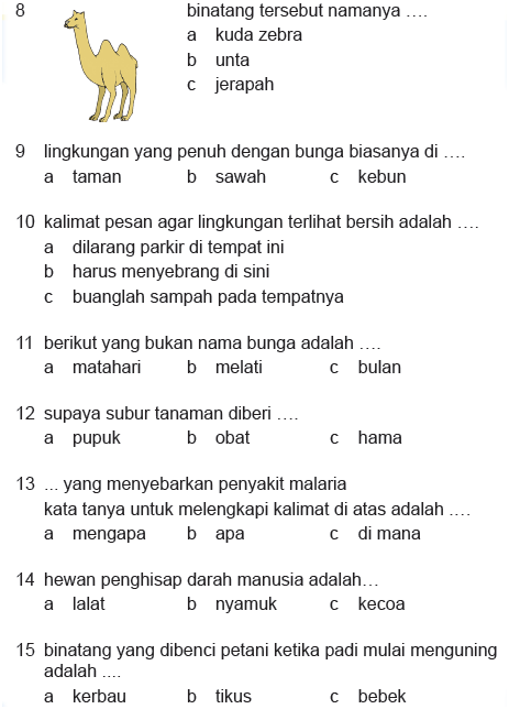 Contoh Soal Bahasa Indonesia Kelas 2 Sd - 54 Koleksi Gambar Contoh Soal Bahasa Indonesia Kelas 2 Sd - 54 Koleksi Gambar